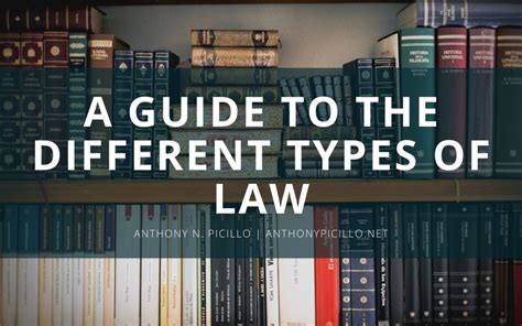 A Comprehensive Guide to the Different Types of .
